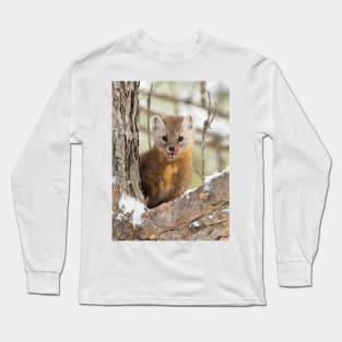 Pine Marten in Algonquin Park Long Sleeve T-Shirt